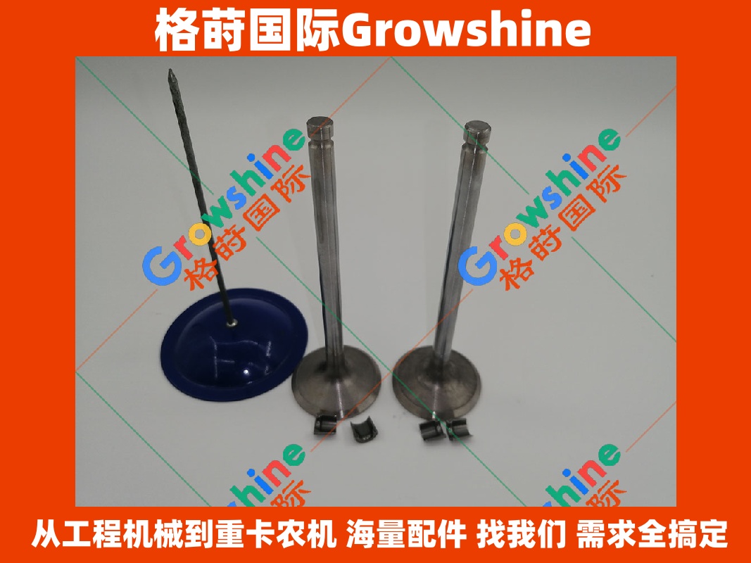 Growshine 康明斯 Cummins 发动机排气门 3920868 3901608 3901607 - 工程机械与重卡适配专家