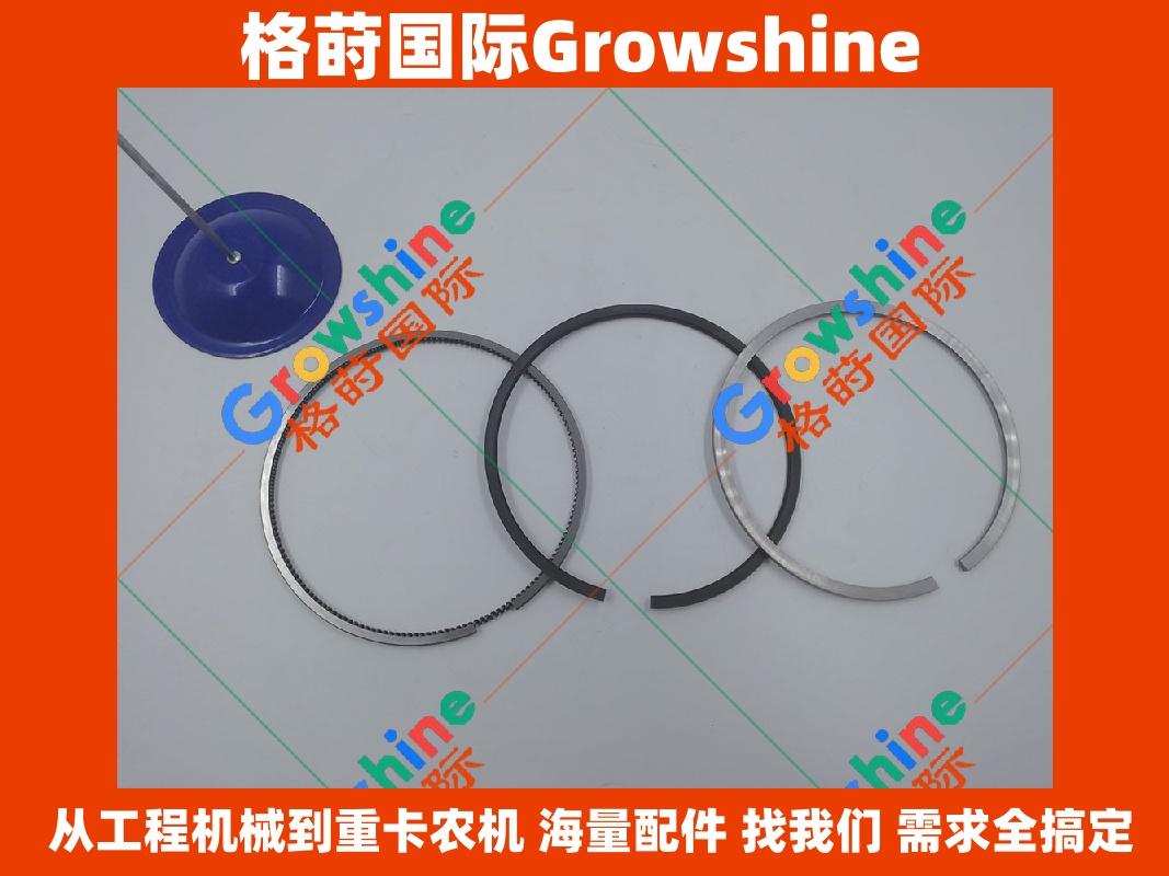 Growshine品牌 康明斯 Cummins 6CT8.3 发动机活塞环 零件号 3802429 高品质配件