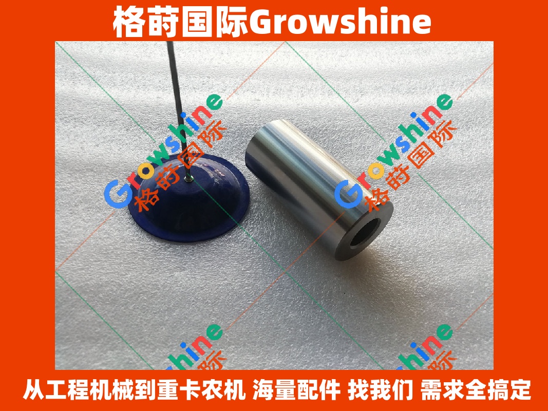 Growshine 品牌 - 康明斯 Cummins 发动机活塞销 3934047, 3934047, 3919053, 3919053            适用于东风天龙重卡及柳工徐工工程机械设备配件