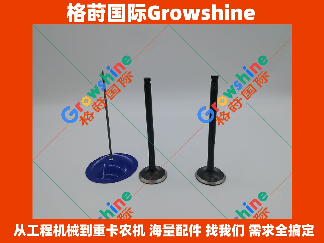Growshine 康明斯 Cummins B3.3 发动机进气门 6204-41-4110 6204414110 适配小松 PC60-7 挖掘机配件