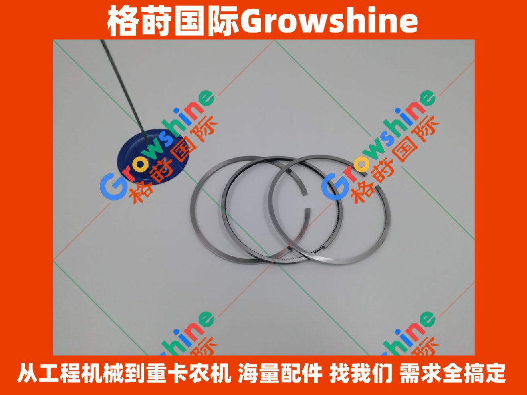 Growshine 品牌：卡特彼勒 Caterpillar 3126B 发动机配件 活塞环组 197-9354 1979354 / 197-9277 1979277 / 197-9386 1979386