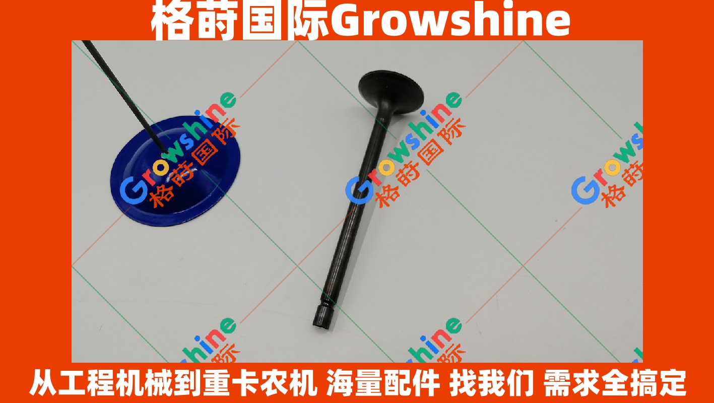 Growshine品牌 日立挖掘机 ZX200-3 ZX330-3 4HK1 6HK1 发动机进气门 零件号 8943958820 8943958820