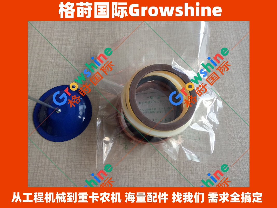 Growshine 日立挖掘机 Hitachi EX200-6 涨紧油缸修理包 进口油封