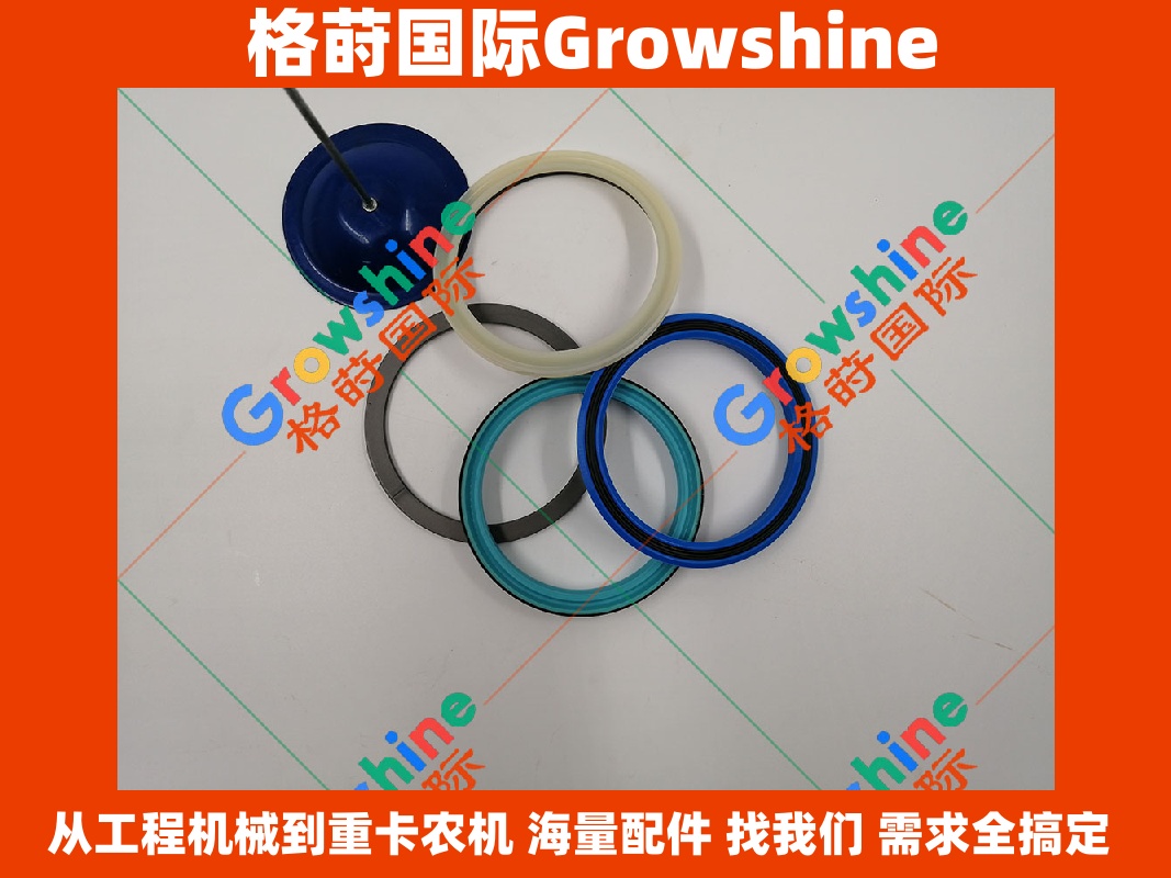 Growshine品牌 日立Hitachi EX215T 挖掘机铲斗油缸修理包 4419082 4419082 密封件维修包