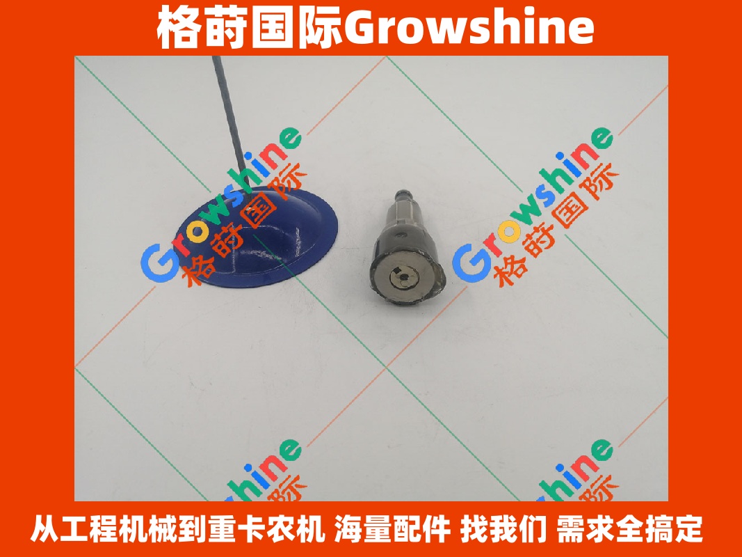 Growshine 品牌 - 日立挖机 ZX210H-3G 柴油泵柱塞 6BG1 发动机专用 零件号 1156320580