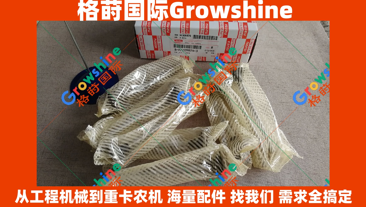 Growshine 日立 HITACHI 挖掘机 五十铃 ISUZU 4HK1 排气门 零件号 8-97209876-3