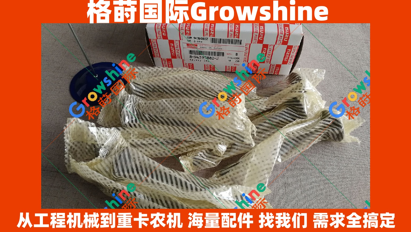 Growshine 日立挖掘机 Hitachi 五十铃 Isuzu 4HK1 进气门 8-94395882-2 8943958822 引擎核心配件
