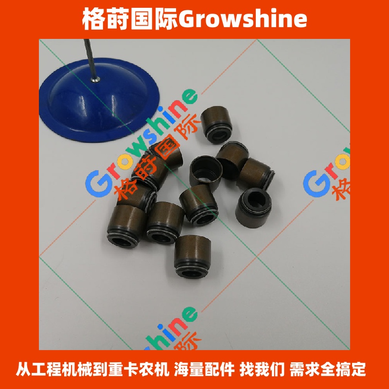 Growshine 品牌日立挖掘机 EX300-5 专用气门油封 SD1 系列零件号 1125690170 与 112569-0170