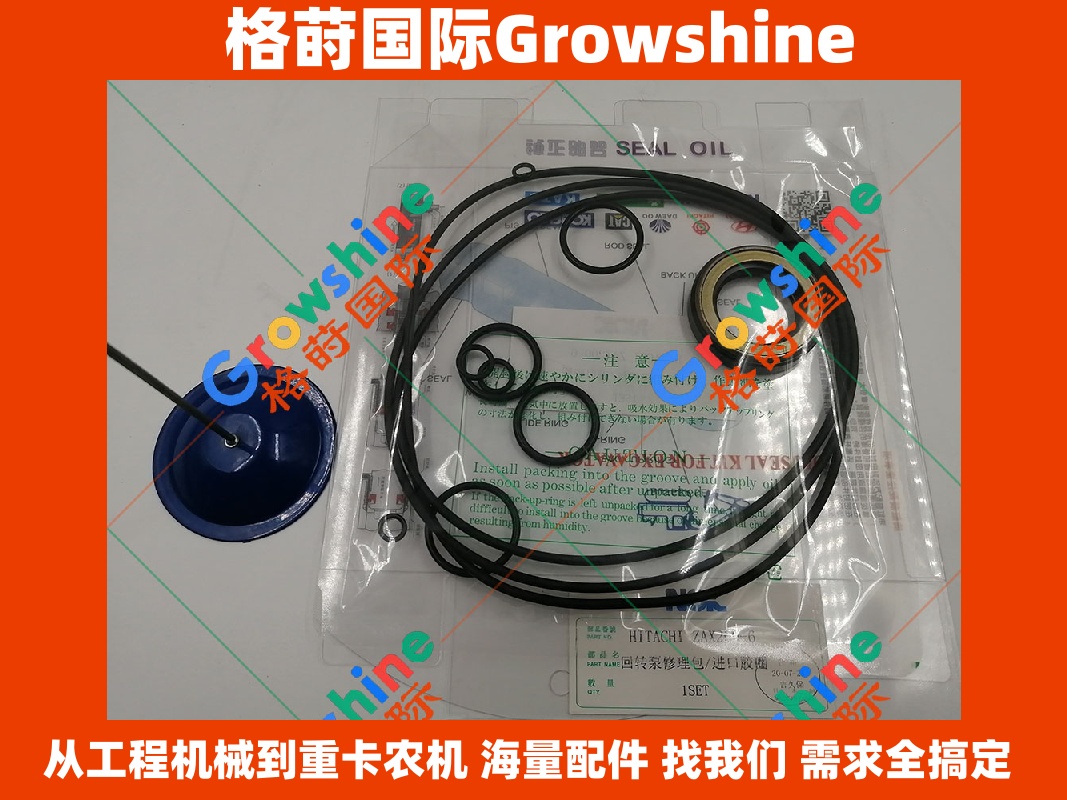Growshine 品牌 - 日立 Hitachi ZAX200-6 旋转马达修理包 6BG1 发动机配件 零件号 4410118, 4410118