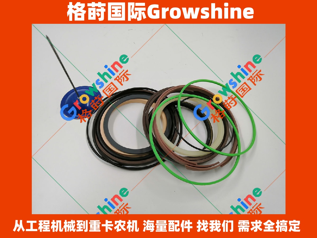Growshine 日立 Hitachi 挖掘机 ZX330-5G 修理包 4649053 4649053