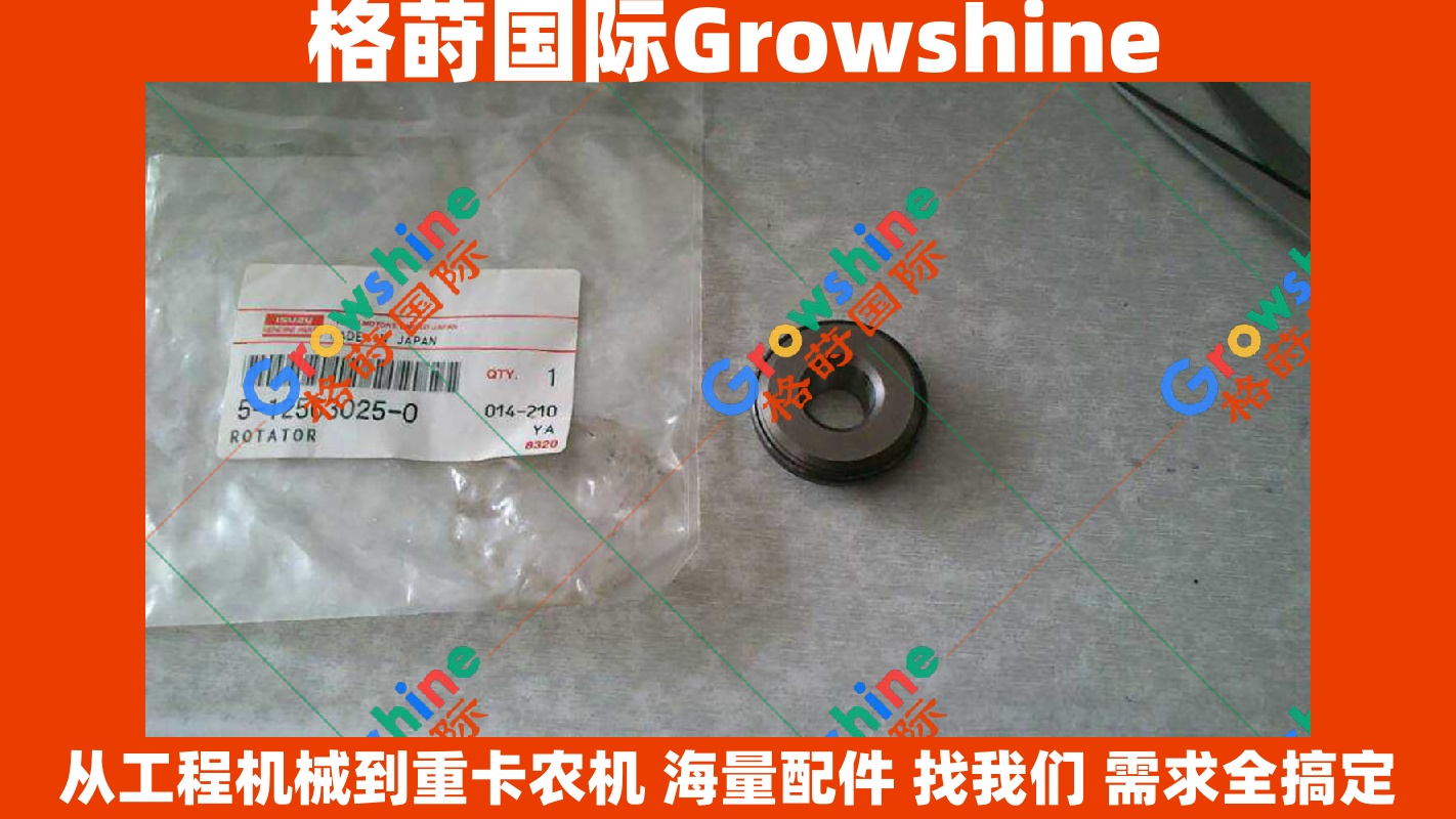 Growshine 品牌 - 日立 Hitachi EX200-5 挖掘机 6BG1 发动机气门座 零件号 5125630250