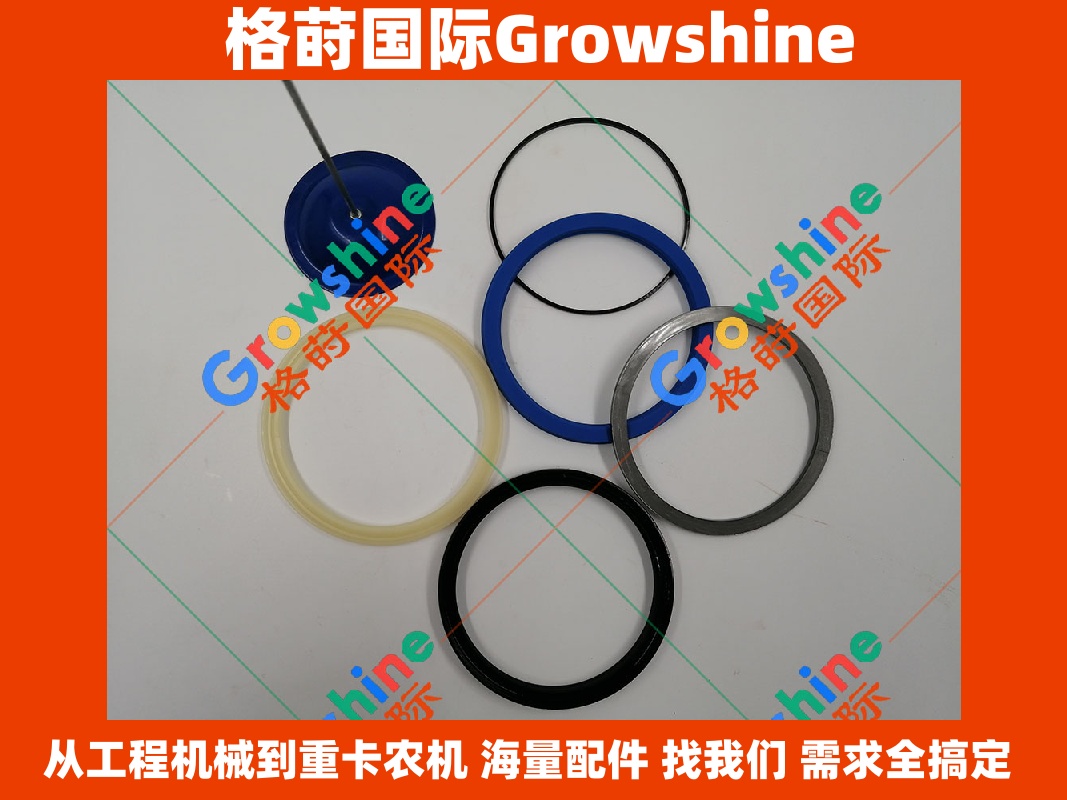 Growshine品牌日立HITACHI EX215T中臂油缸修理包零件号4295325, 4295325高质量密封件