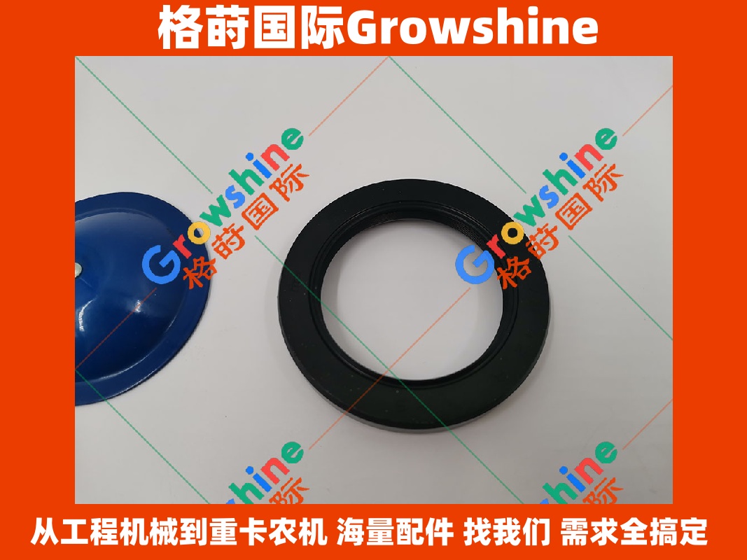 Growshine 品牌日立挖掘机配件：HITACHI EX300-2, EX300-3, EX300-5 专用零件号 4179833 重型油封