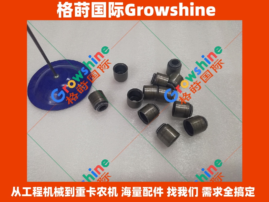 Growshine品牌 日立挖掘机 Hitachi ZX210H-3G 五十铃 6BG1 发动机气门油封 8971201670 8971201670