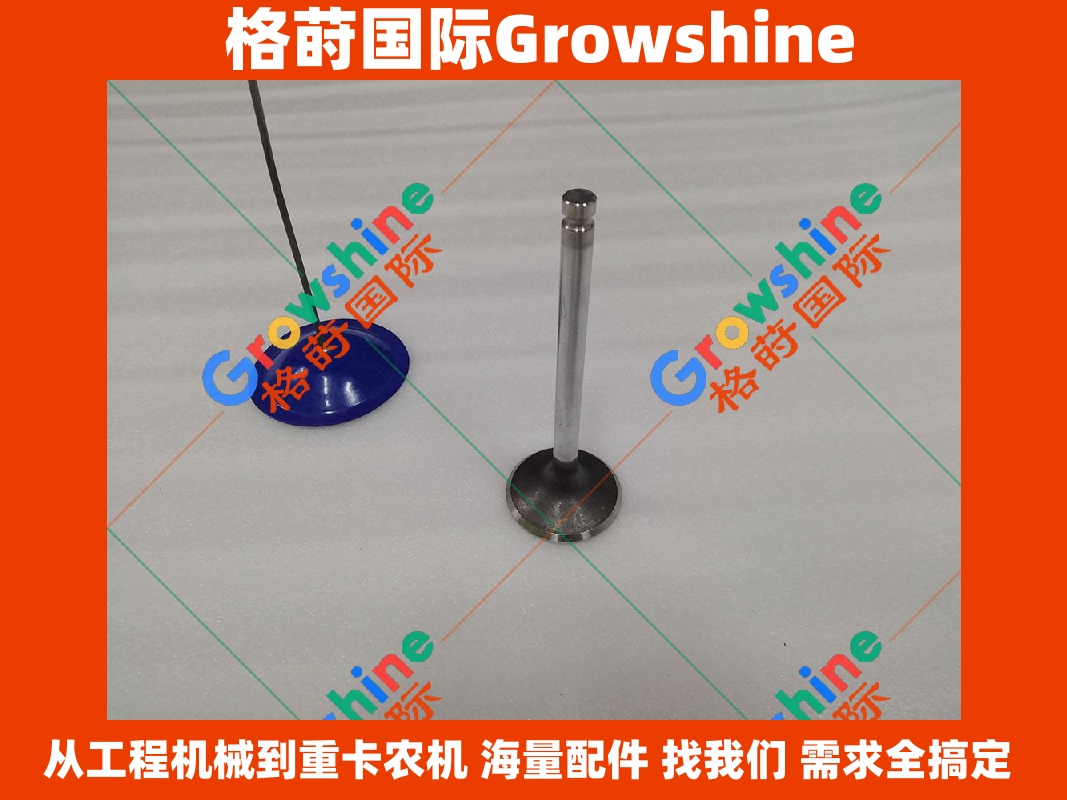 Growshine 品牌日立挖掘机 ZX210H-3G 油封 6BG1 进气门 零件号 1125510830 112551-0830