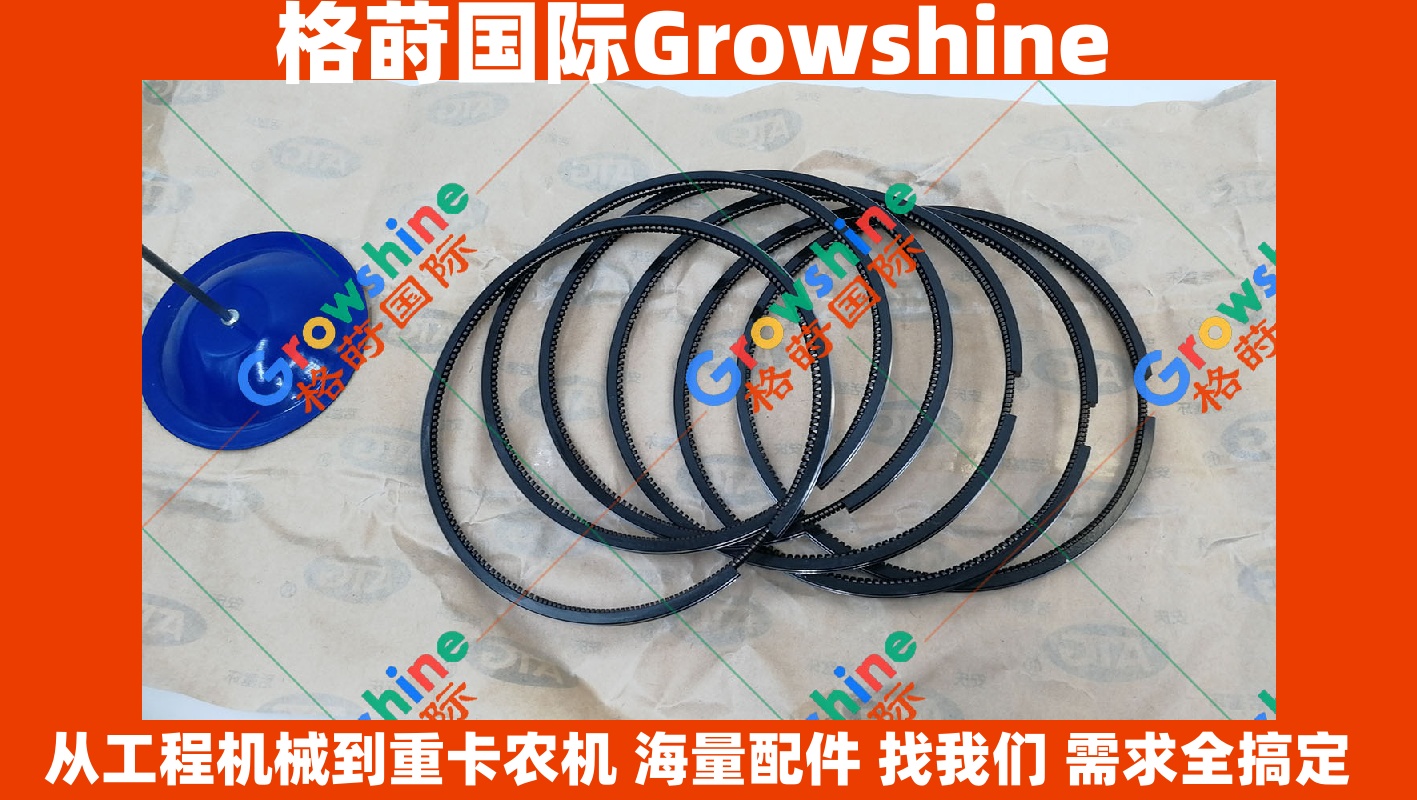 Growshine 品牌：上柴 D6114B SC9D220 发动机活塞环 D04-102-30 D0410230