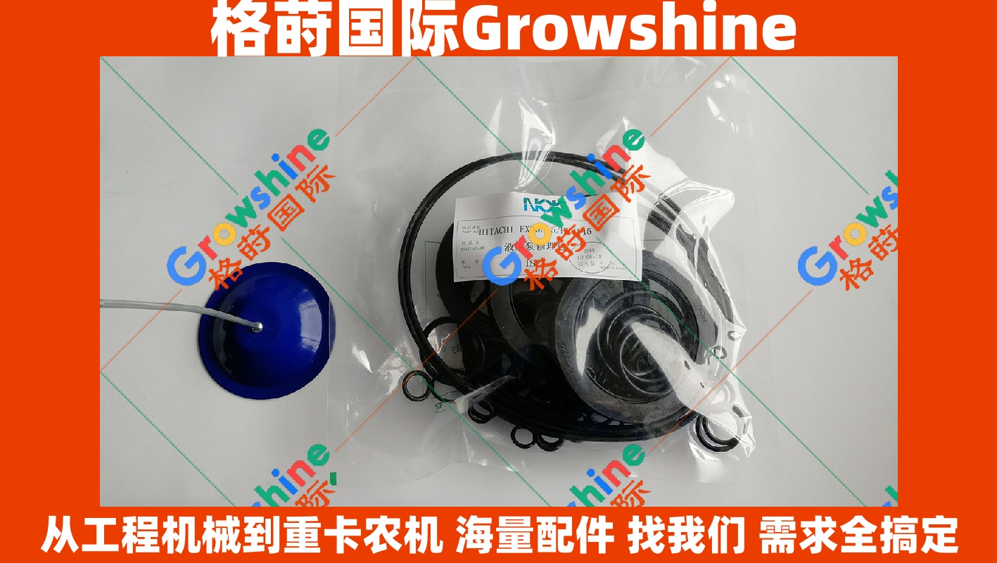 Growshine 品牌日立 Hitachi 挖掘机 EX300-5 配件 HPV145 液压泵修理包 零件号 HPV145-01 4339651