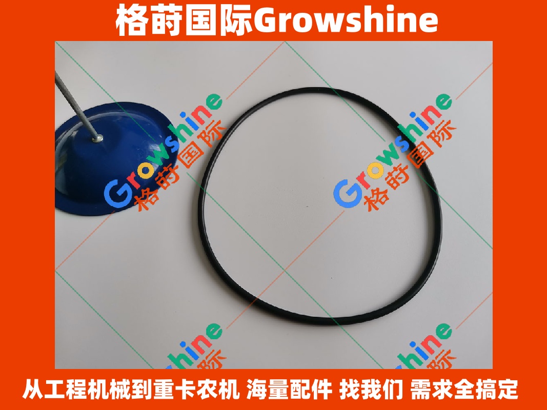 Growshine 品牌日立 Hitachi 挖掘机 ZX330 液压泵密封件 O型圈 零件号 4179834 4179834