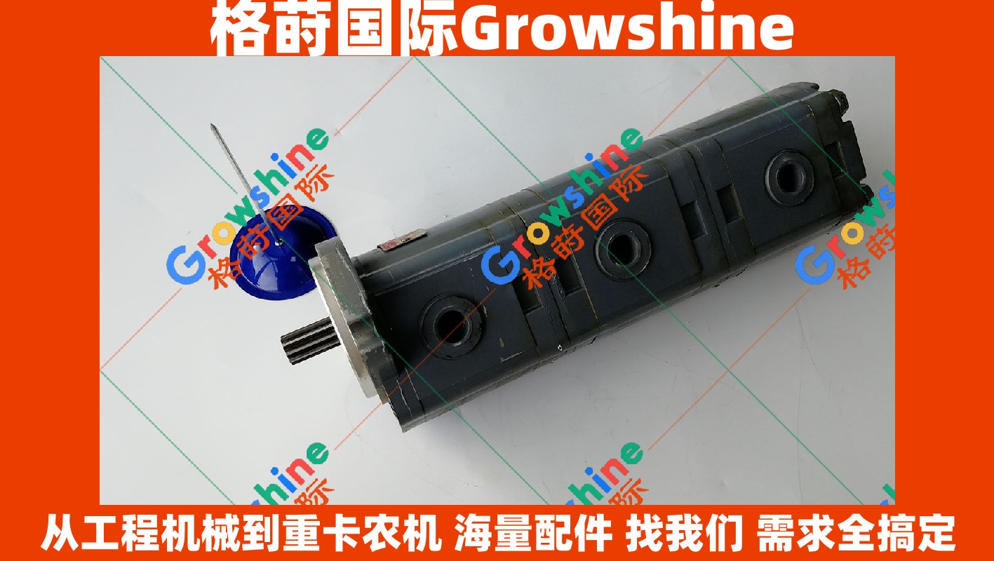 Growshine 品牌日立 Hitachi EX200-1 三联齿轮泵 三节先导泵 9217993 9217993