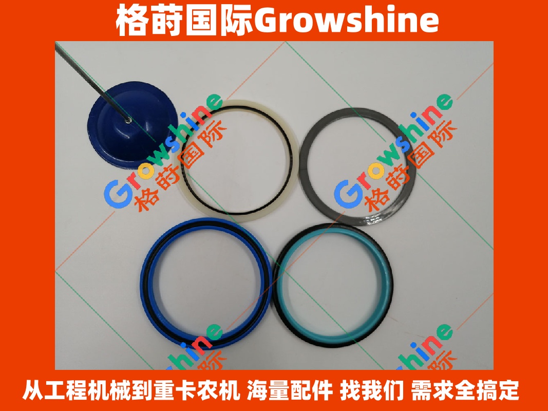 Growshine品牌 日立HITACHI EX215T 大臂油缸修理包 零件号：4363248, 4363248