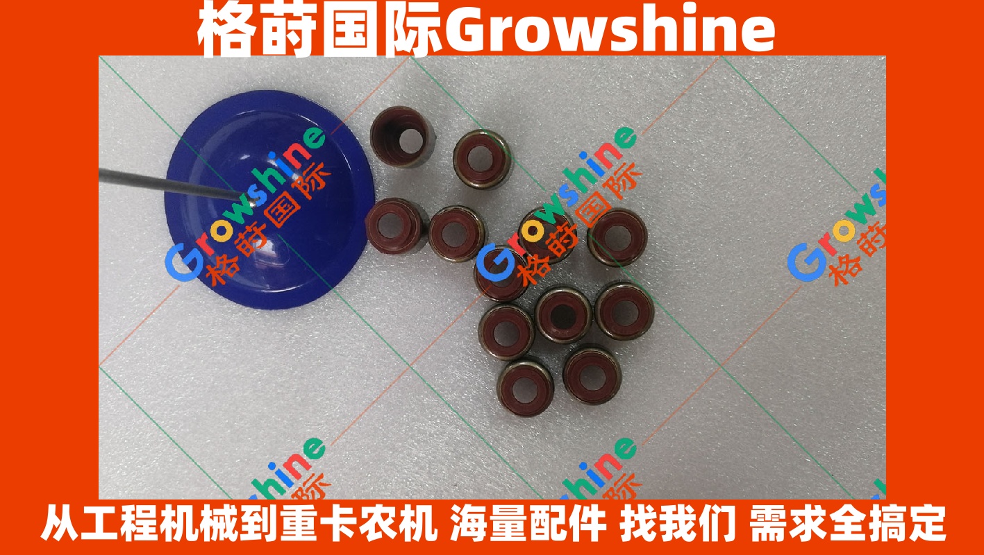 Growshine 潍柴 Weichai R6105 气门油封 1405-109701-11 140510970111