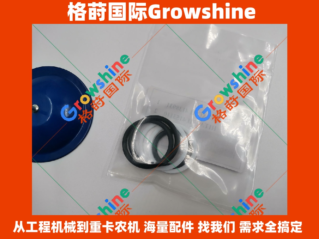 Growshine品牌 日立Hitachi挖掘机分配器O型圈 零件号 4138931 4138931 高性能密封件