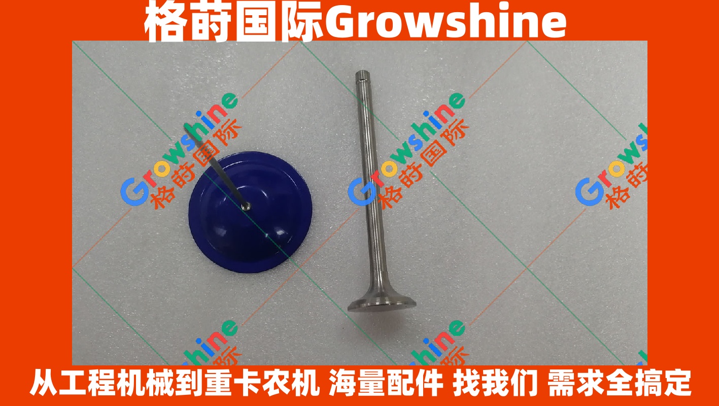 Growshine 品牌 - 潍柴 Weichai R6105 发动机配件 排气门 零件号 1405-109101-01 140510910101