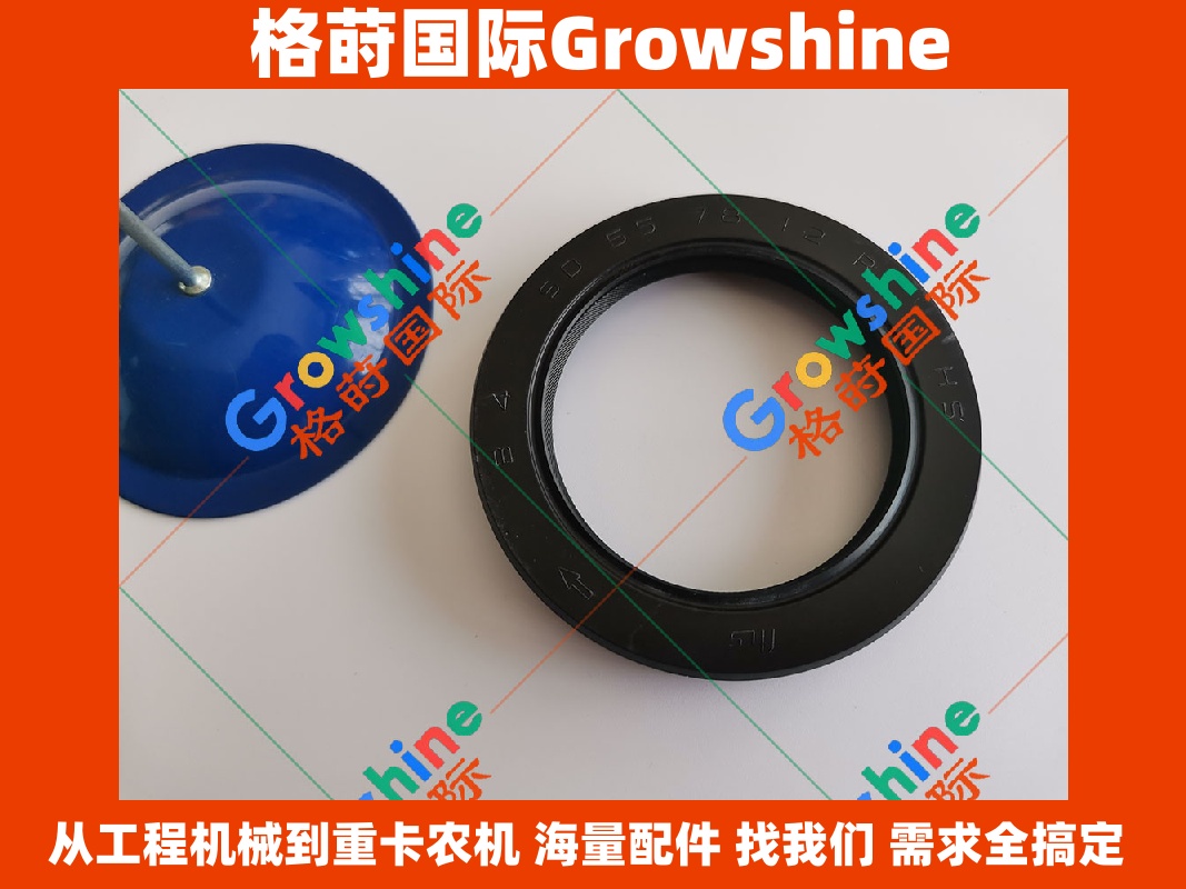 Growshine 品牌 - 日立 Hitachi ZX330 挖掘机液压泵油封 零件号：4179833 4179833
