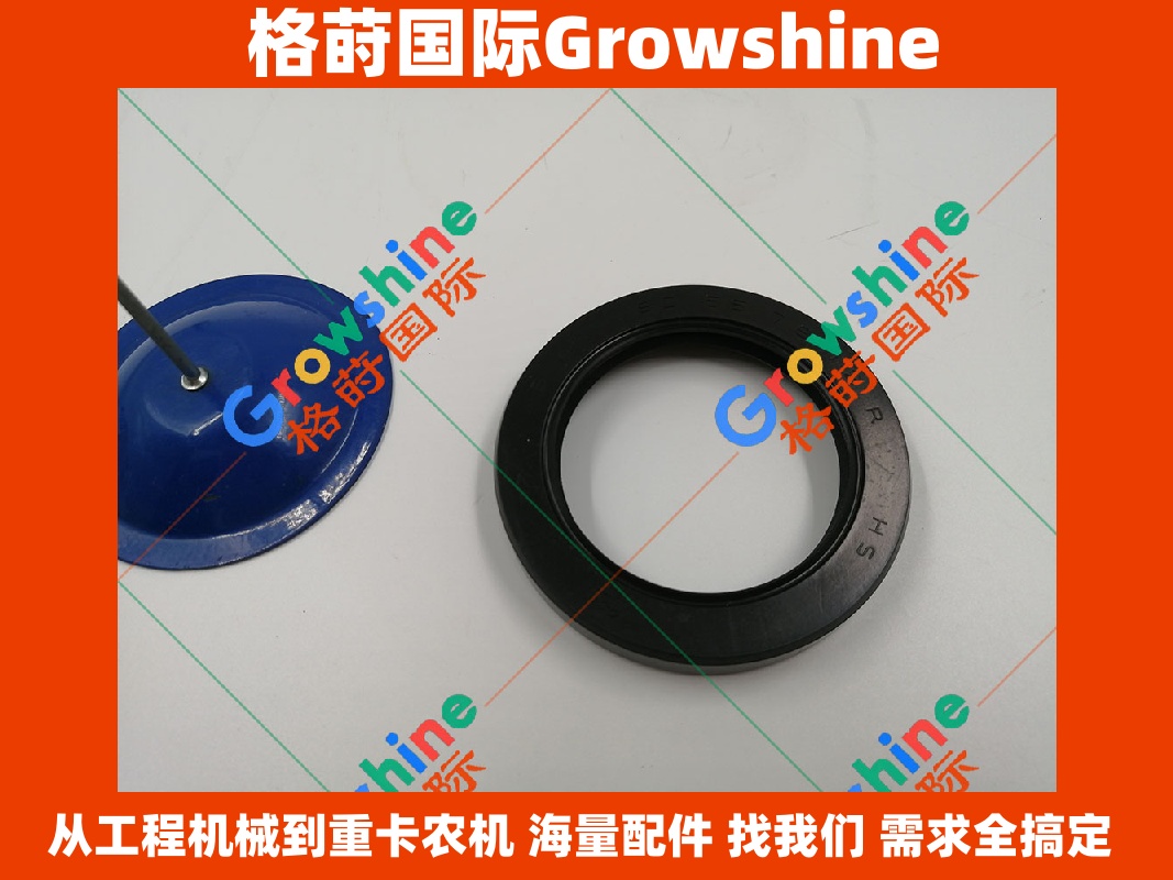 Growshine 品牌 - 日立 Hitachi ZX330-3G 挖掘机配件 零件号 4179833 4179833 油封