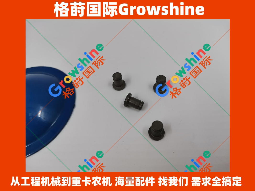 Growshine品牌 日立Hitachi ZAX210-6挖掘机 HPV102液压泵 拨叉销 拨叉螺丝 零件号 06163 06163
