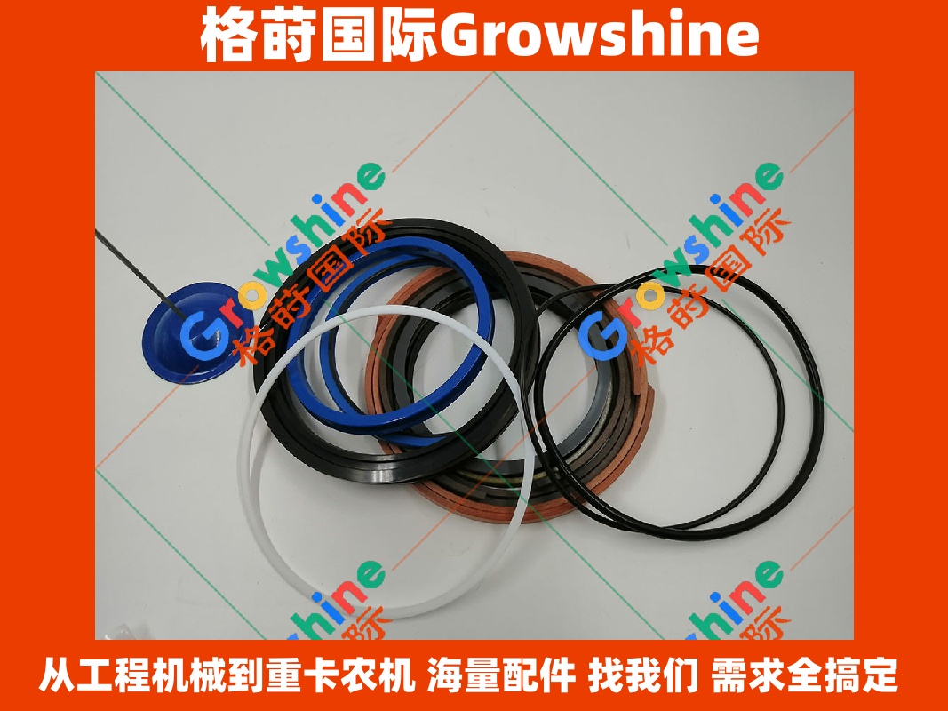 Growshine品牌：日立Hitachi挖掘机ZX330系列修理包 零件号 9180582 9180582