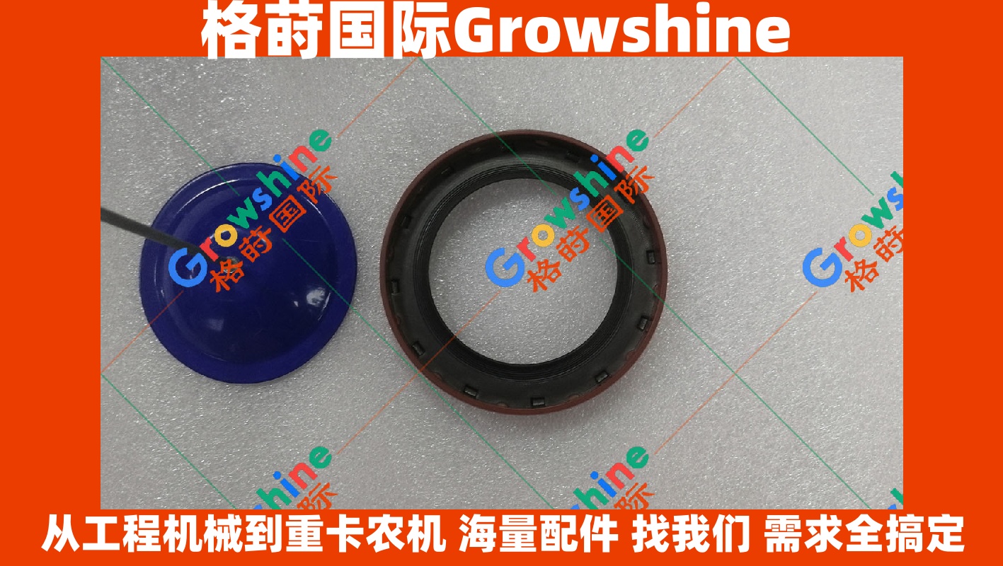 Growshine 品牌 - 潍柴 Weichai R6105 曲前油封 R4105 曲前油封 131103 131103 原厂配套配件