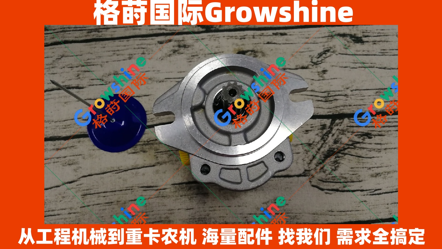 Growshine品牌 日立Hitachi挖掘机配件 EX200-1 先导泵 齿轮泵