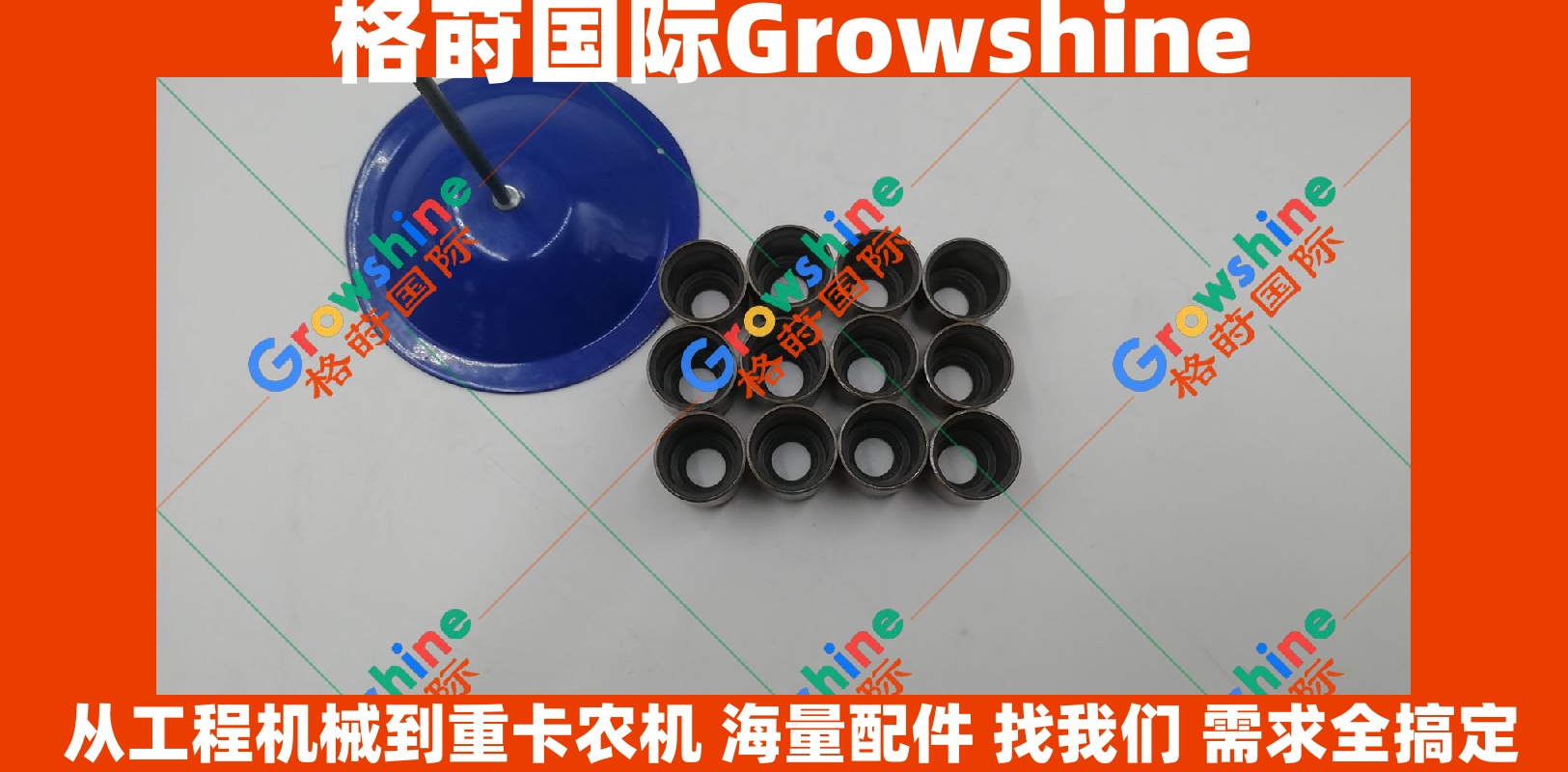 Growshine 品牌日立 Hitachi ZX230 挖掘机五十铃 6BG1 发动机气门油封 1-12565020-0 1125650200