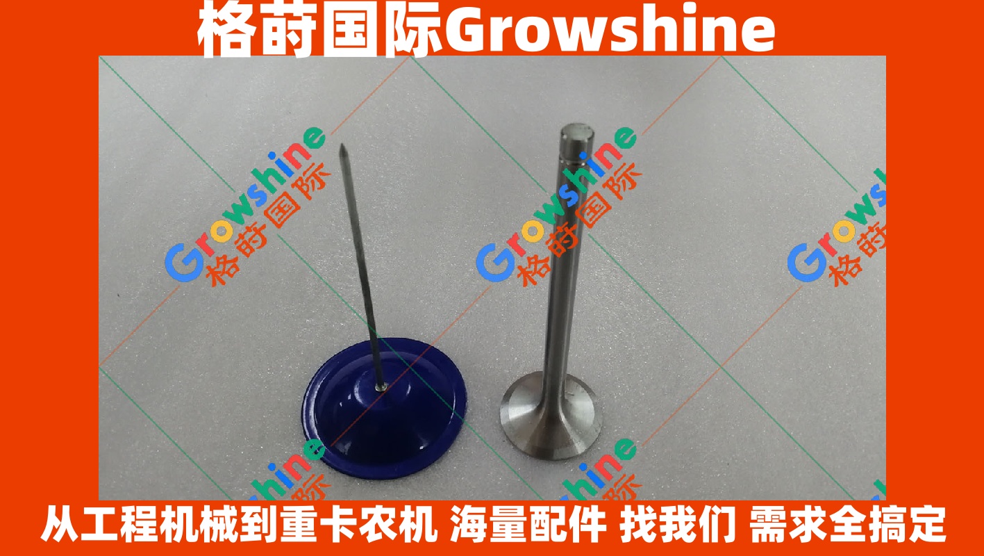 Growshine 品牌 - 潍柴 Weichai R6105 发动机进气门 零件号: 1405-109001-01 / 140510900101
