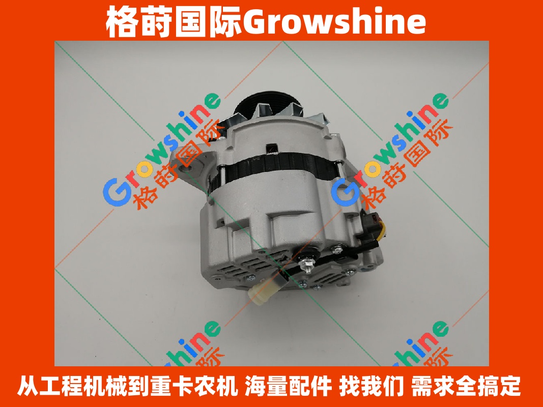 Growshine 品牌 - 三菱 Mitsubishi D06FRC 发电机 零件号 D06FRC D06FRC