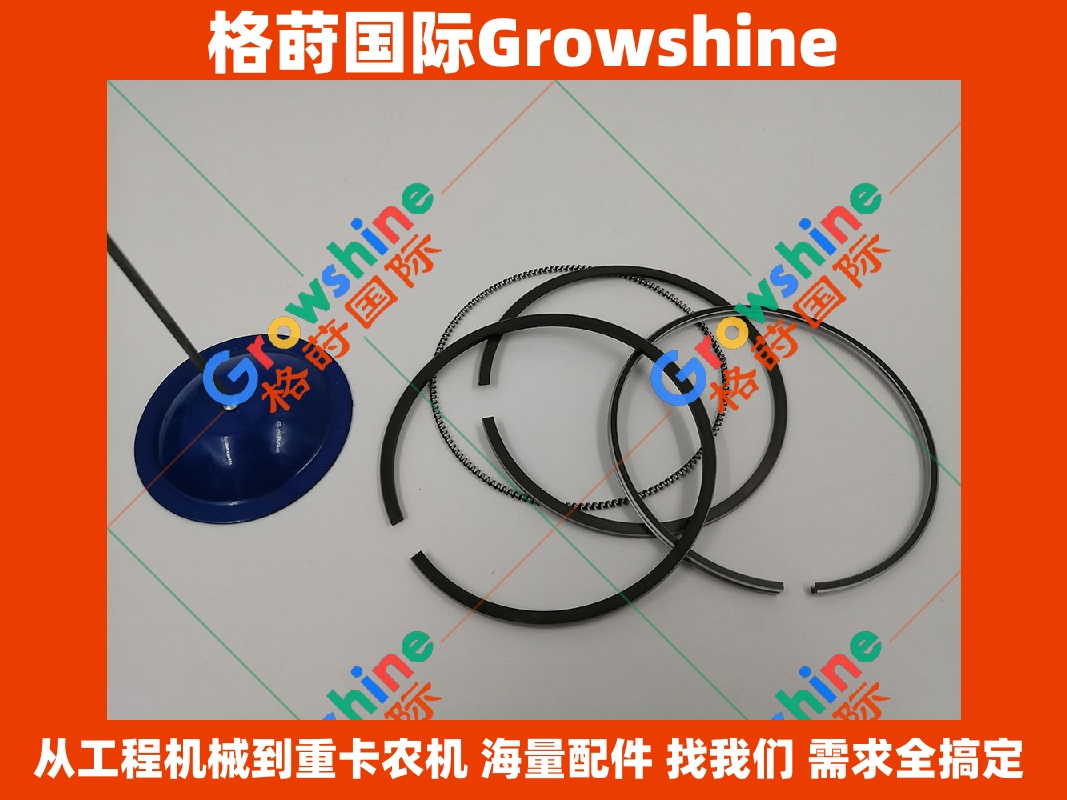 Growshine 格莳国际 · 三一SY245H挖掘机专用 D06FRC 34317-19011 3431719011 活塞环