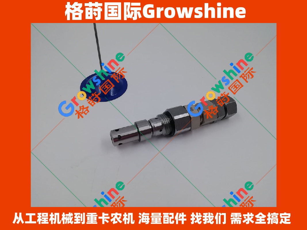 Growshine 品牌 - 日立 Hitachi 挖掘机 EX200-5 主溢流阀主炮 零件号 4372038 4372038