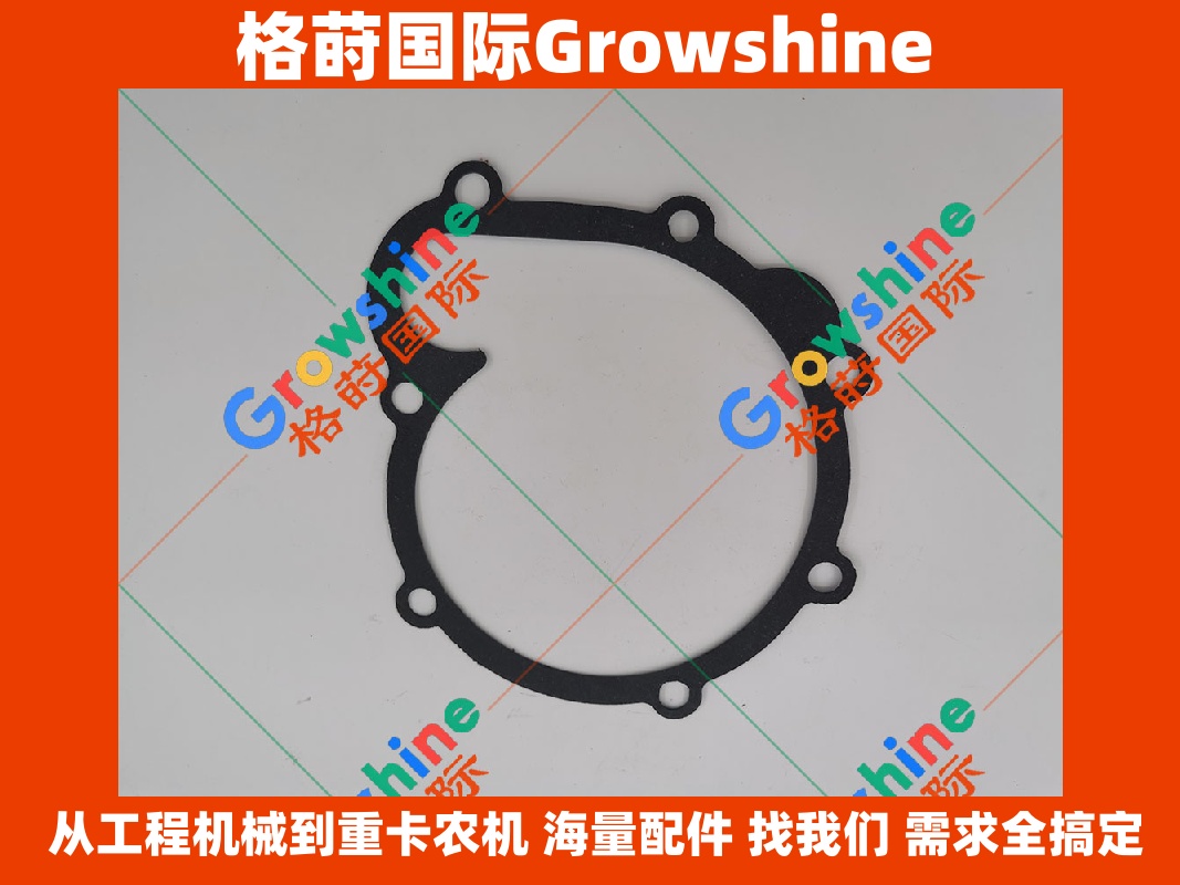 Growshine International - 沃尔沃 Volvo 零件专家 水泵垫20405691，VOE20405691