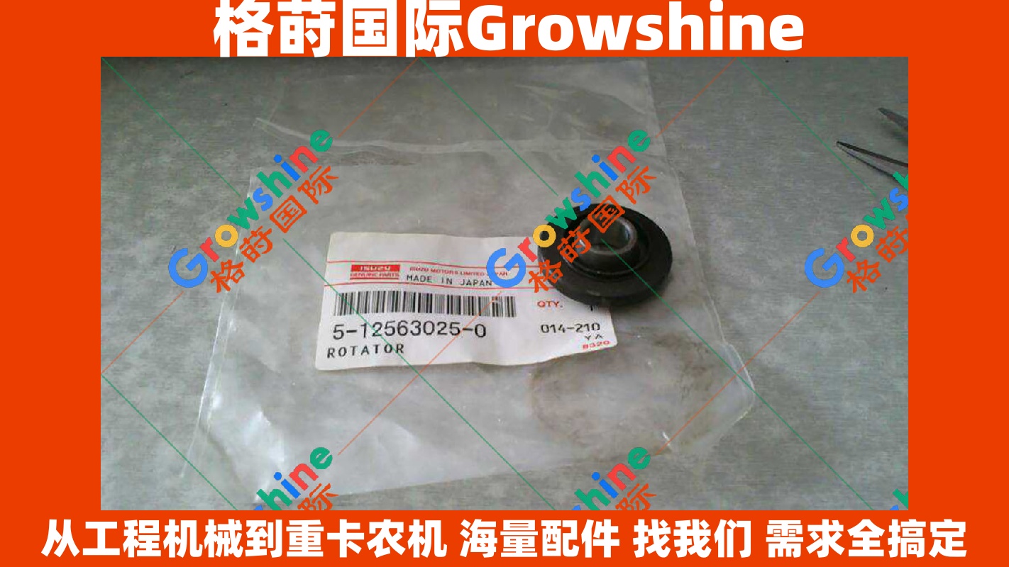 Growshine 品牌 - 日立 HITACHI 挖掘机 ZX200-5 引擎 4HK1 6HK1 气门弹簧座 零件号 5-12563025-0 5125630250 现货供应