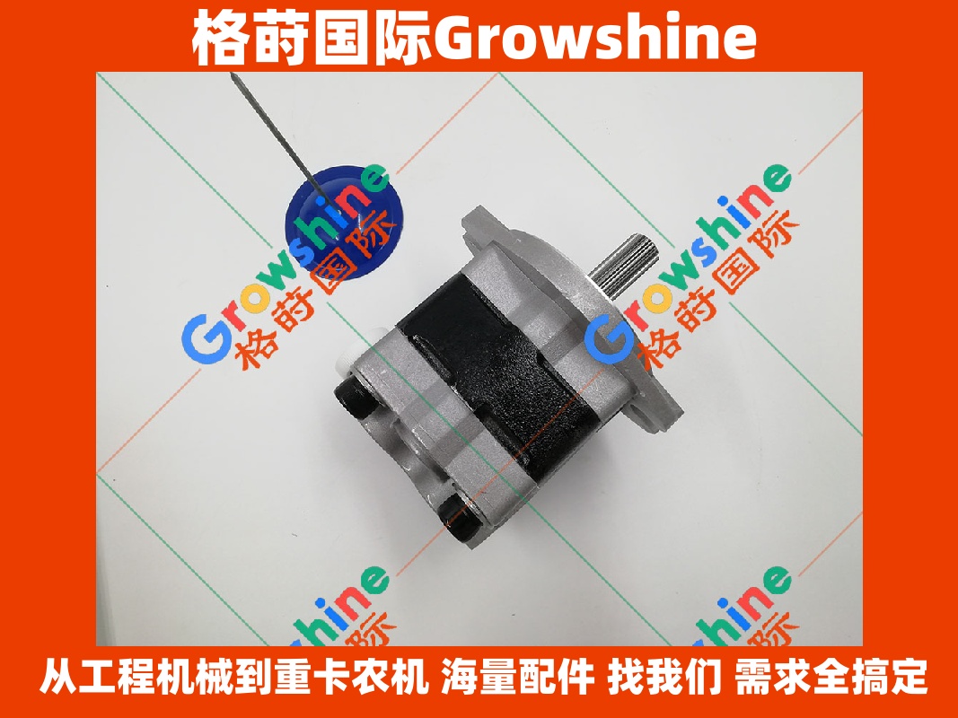 Growshine 特雷克斯 Terex TC65 挖掘机液压泵齿轮泵 PSCD2-27E-12 / PSCD227E12